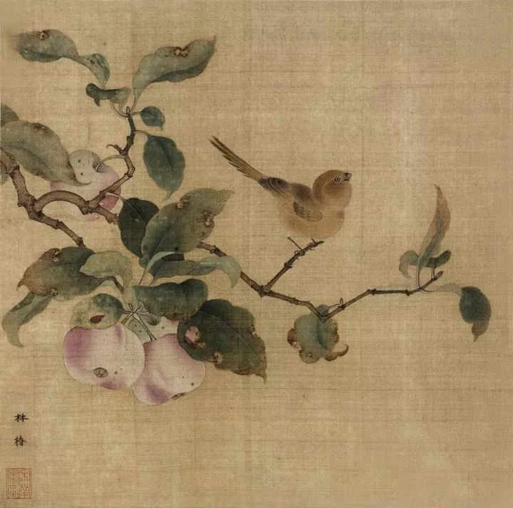 图片 7.png