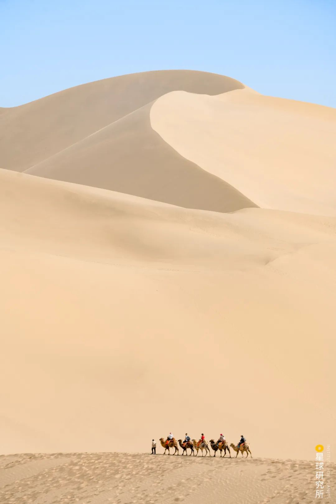 图片24.png