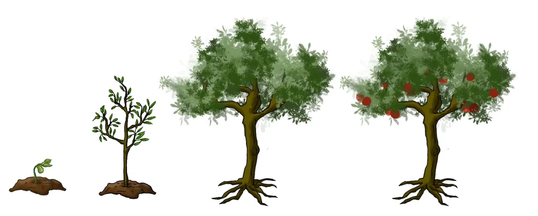 61.png