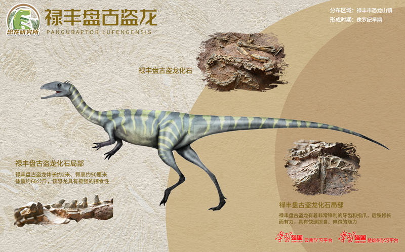 编者按339.png