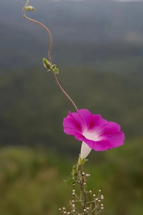 5_9PqrtSV12NVmhbOdkewcRV8uuyL1qA.jpg