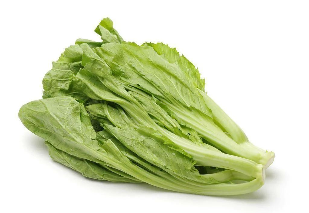 6_ib7YbZ2XHHGr0ERzBq9LtKic6c6nqw.jpg