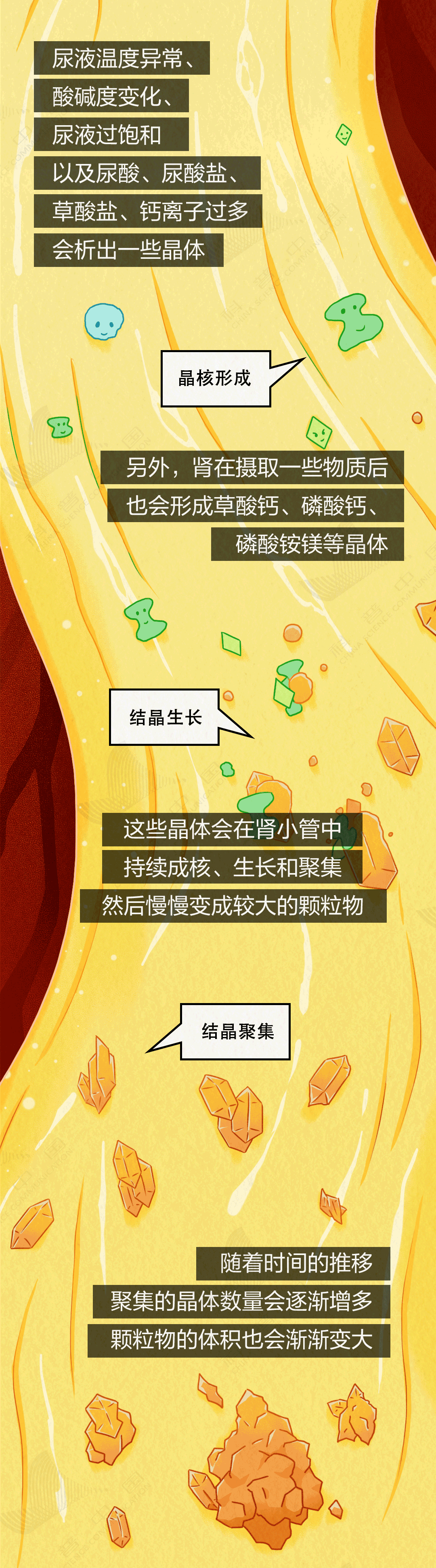 7_CkV72tv5dZur3BJI6ung09tiba4icQ.png